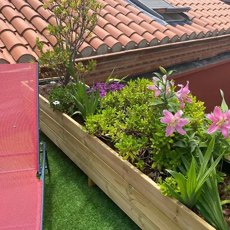 Frühstückspension Le Patio Pere Pigne Guestroom