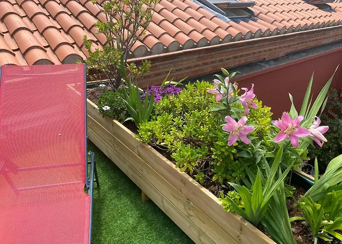 Bed & Breakfast Le Patio Père Pigne Guestroom