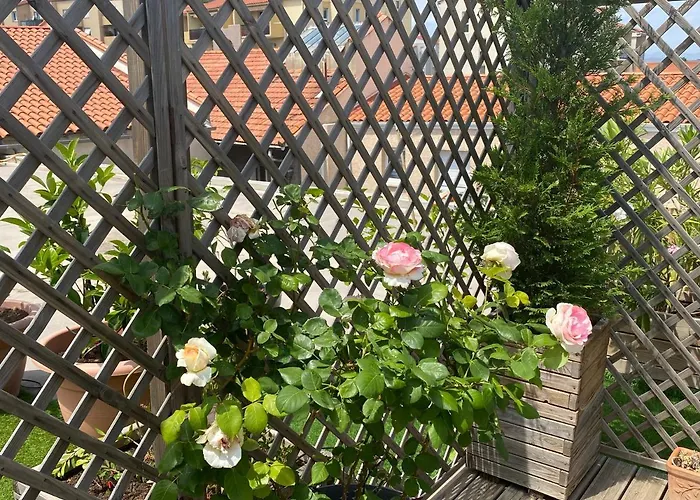 Le Patio Père Pigne Guestroom Bed & Breakfast 4*